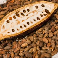 Pod on beans