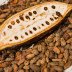 Pod on beans