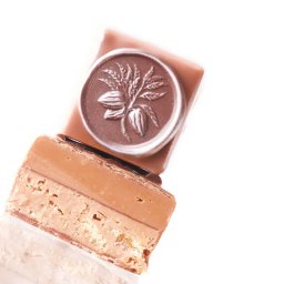 Gianduja Truffle with Croquantine by MaxChocolatier