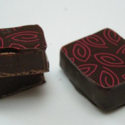 Xocopili