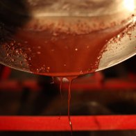 IMG_4910