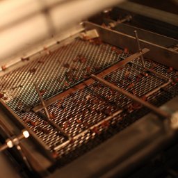 IMG_4602