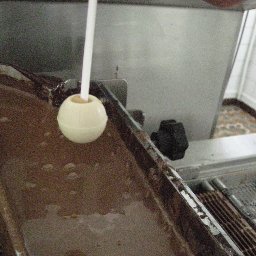 Before dipping in chocolate