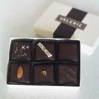 Our Debut Assortment