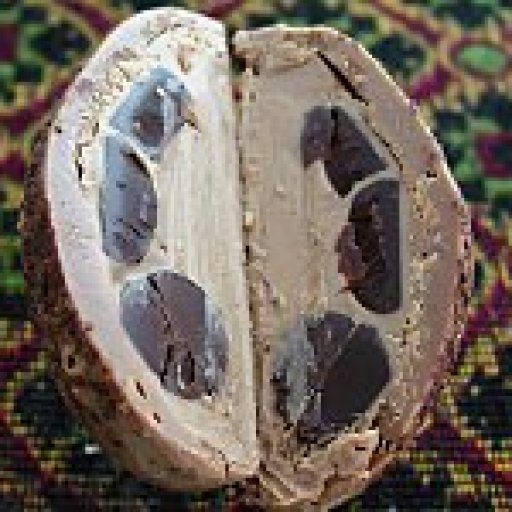 American Original  Chocolate Chunk Chocolate Truffle Egg