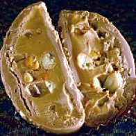 Chocolate Crunchy Peanut Butter Egg