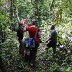 Edible and Medicinal Plant Walk