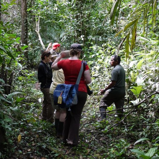 Edible and Medicinal Plant Walk