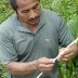 Edible and Medicinal Plant Walk - Cotton Tree Lodge
