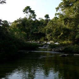 Belize2010-16AboveRioBlancoPool