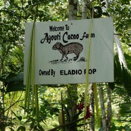 Belize2010-18AgoutiFarmEntrance