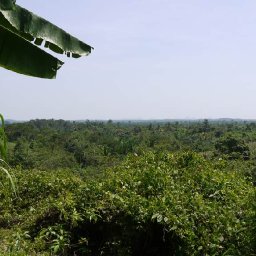 Belize2010-26TheViewFromTheTop
