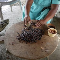 Belize2010-31CrushingRoastedCocoa