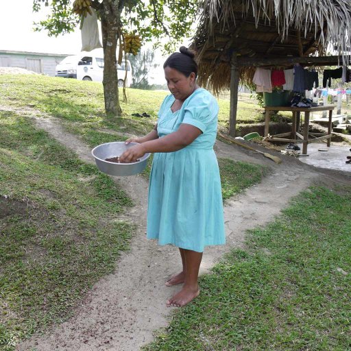 Eladio Pop's Wife Winnowing Cocoa