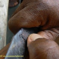 Cut test - cutting an individual bean