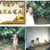 Mexican cacao plantations