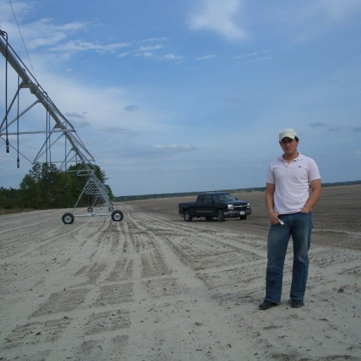 Bayer-peanut field