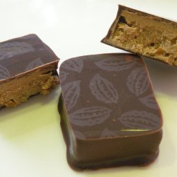 Cabosse: praliné 66% fruits & caramel beurre salé Guerande