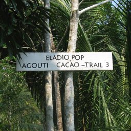 The Entrance to Eladio Pop's Farm