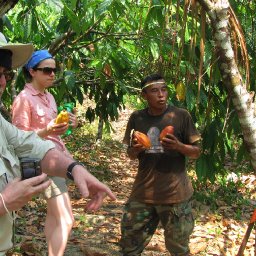 Eladio with Cacao Pods