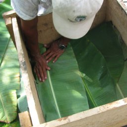 Preparing the Fermentation Box