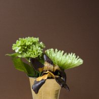 Single Mango Orchid with Flowers