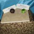 cibelli chocolates at Tanger Outlet Farmer's Market