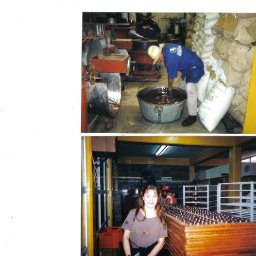Choc factory Oaxaca