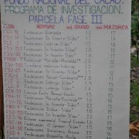 choandino 7