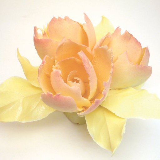 White Chocolate Roses