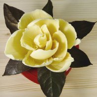 Chocolate Magnolia Blossom