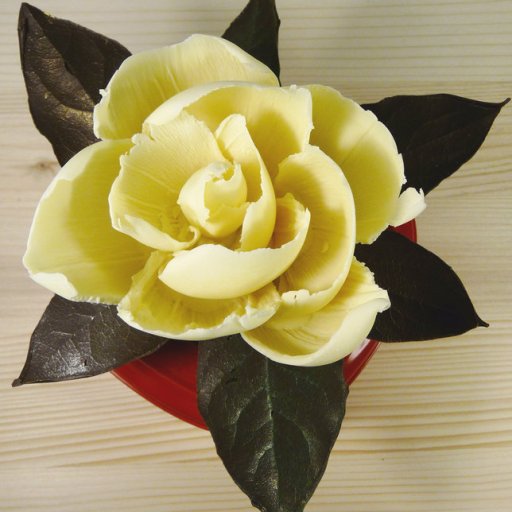 Chocolate Magnolia Blossom