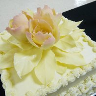 White Chocolate Roses
