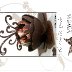 The Chocolate Garden DVD