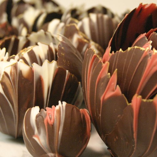 Chocolate Tulips