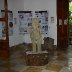ChocoMuseo Museum2