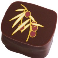 B R Cohn chocolate
