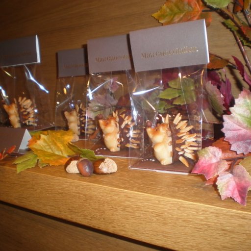 Autumn at MaxChocolatiers, Luzern