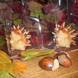 Autumn at MaxChocolatiers, Luzern