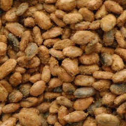 Fermenting beans