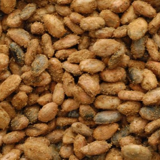 Fermenting beans