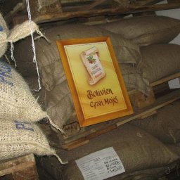 Bags of beans waiting to be processed