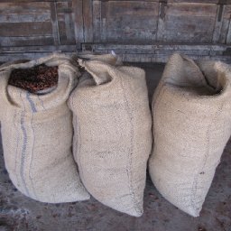 013ThreeBagsFull