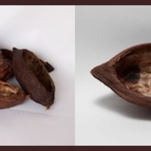 Cocoa Pods