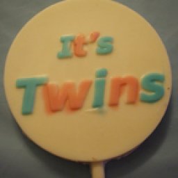 twins