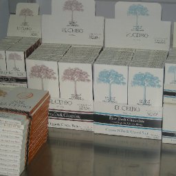 Our land, Our tree, Our chocolate
