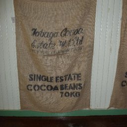 P1000784