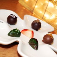 The 2010 Holiday Collection
