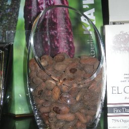 Madagascar beans Pralus