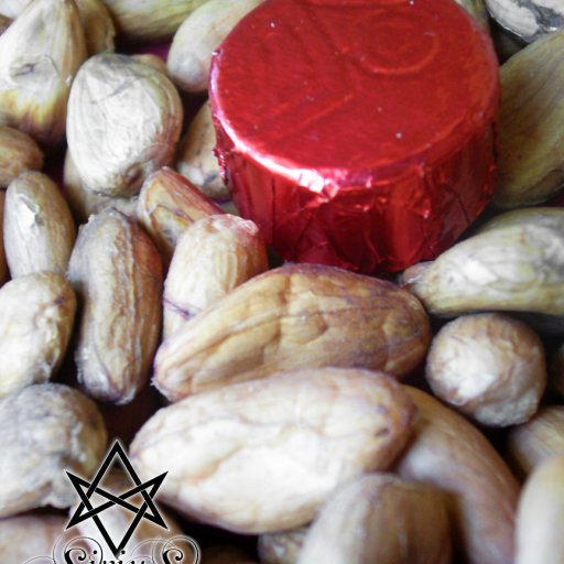 Sirius Chocolate1